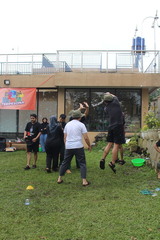 IMG 7937